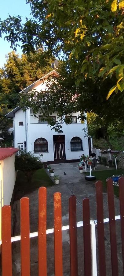 Sobe Lara Apartment Donji Milanovac Bagian luar foto