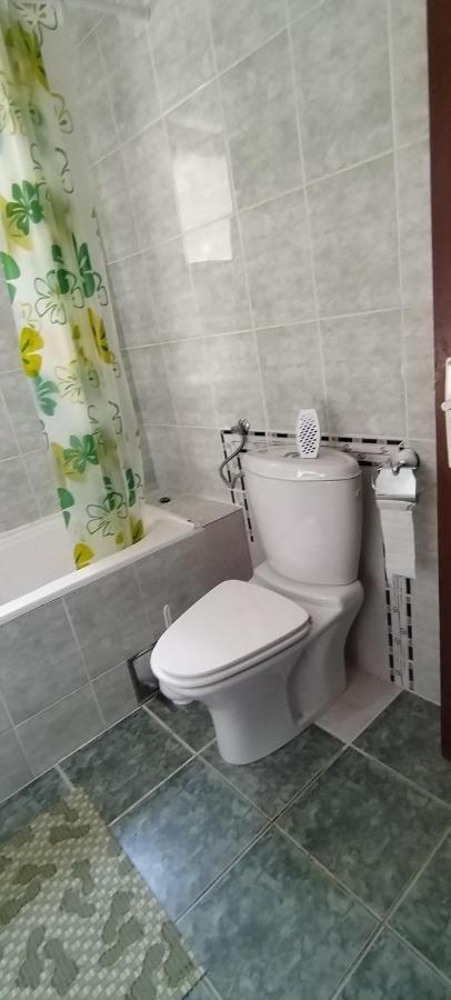 Sobe Lara Apartment Donji Milanovac Bagian luar foto