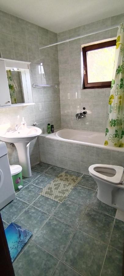 Sobe Lara Apartment Donji Milanovac Bagian luar foto