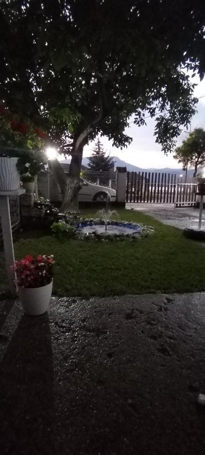 Sobe Lara Apartment Donji Milanovac Bagian luar foto
