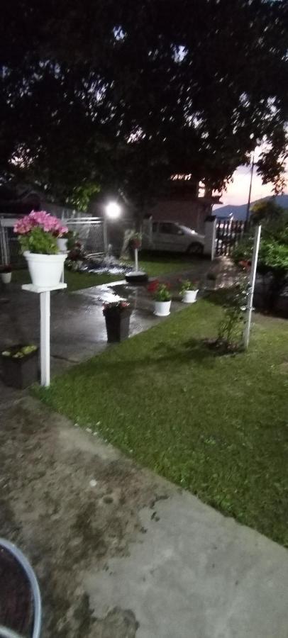 Sobe Lara Apartment Donji Milanovac Bagian luar foto