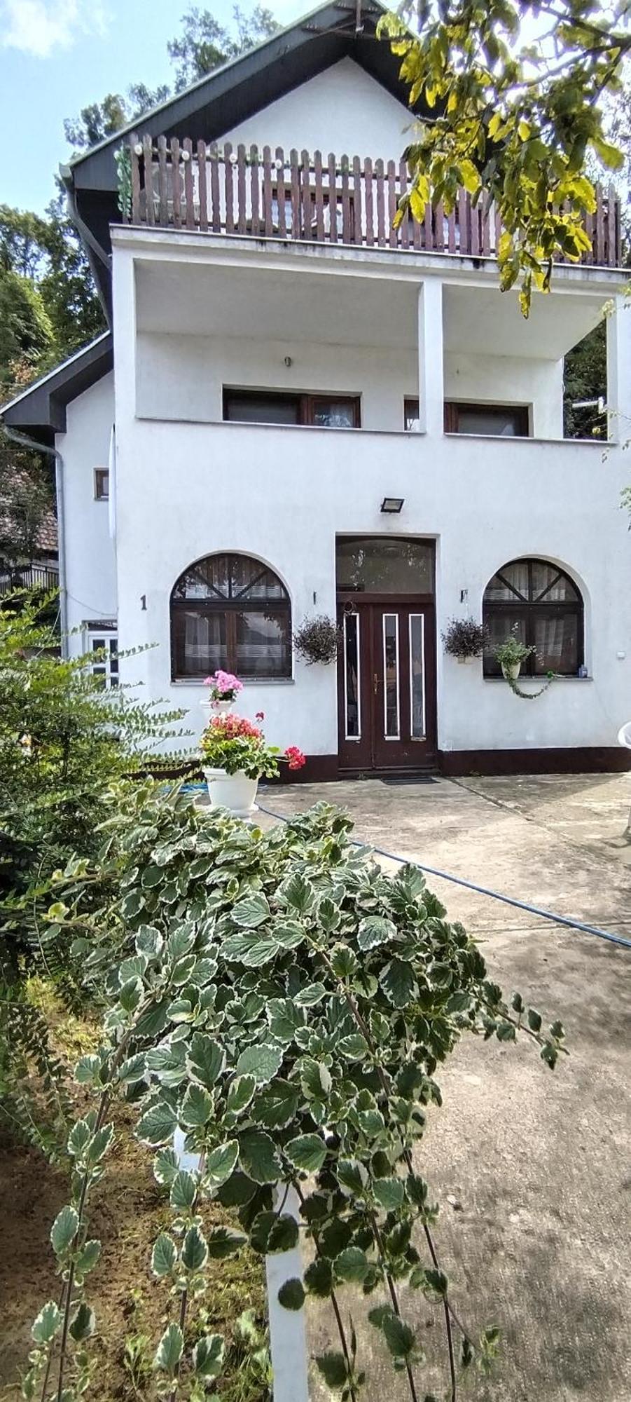 Sobe Lara Apartment Donji Milanovac Bagian luar foto