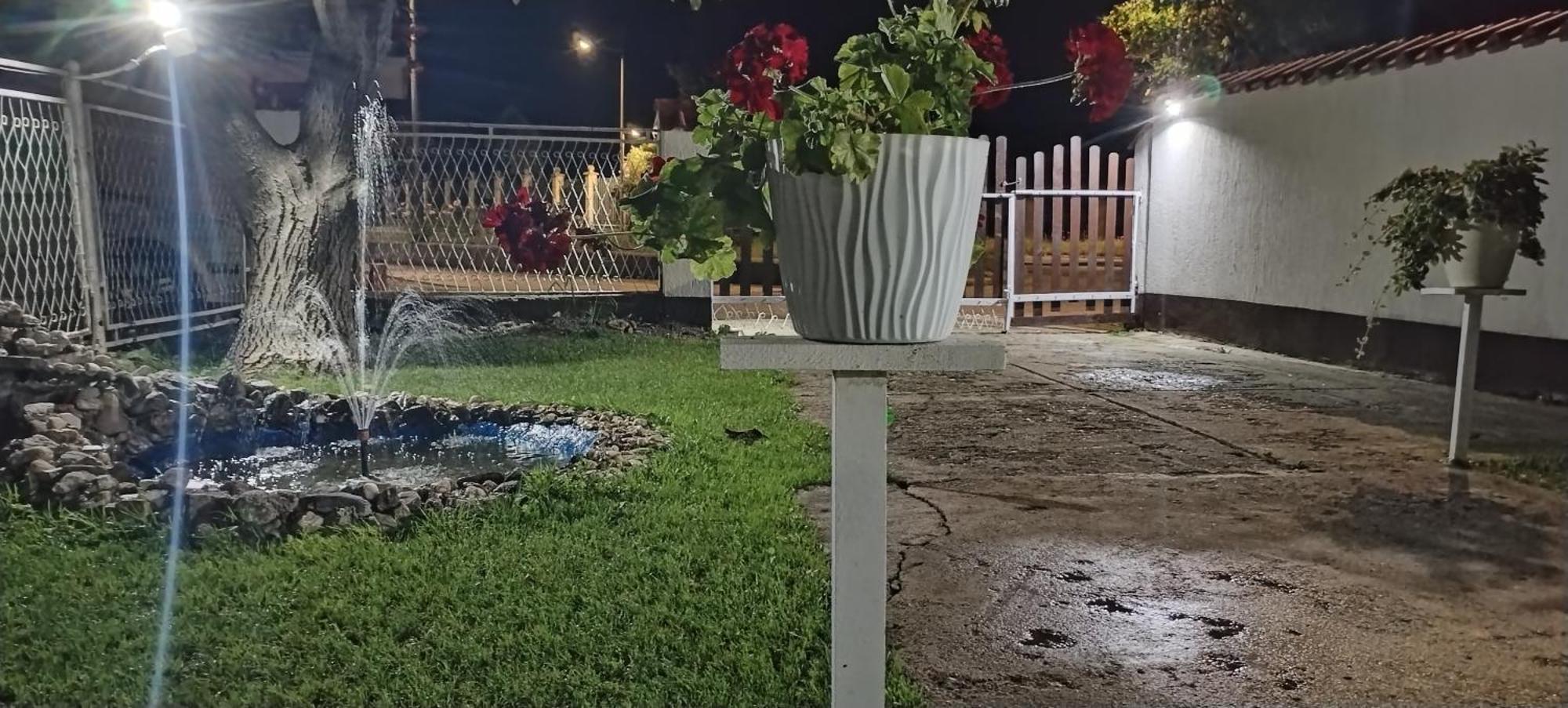 Sobe Lara Apartment Donji Milanovac Bagian luar foto