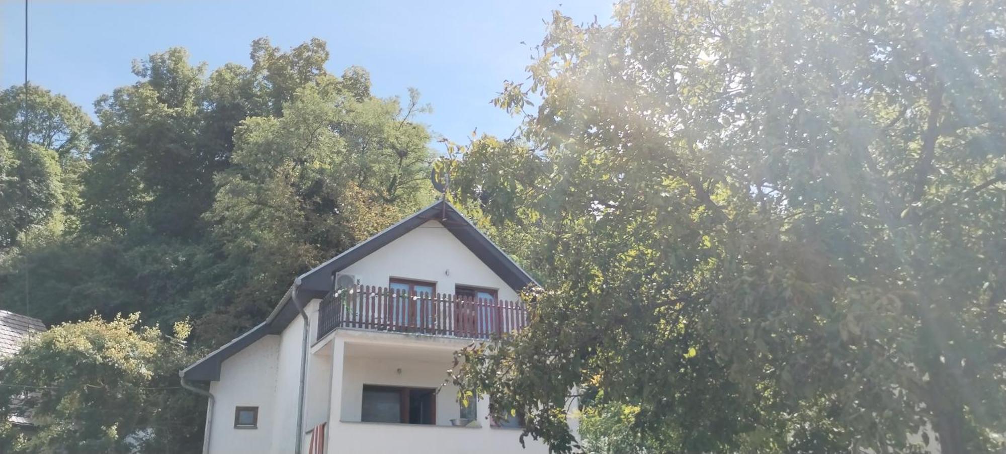 Sobe Lara Apartment Donji Milanovac Bagian luar foto